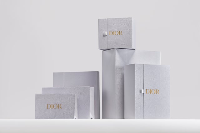 Medium Dior Daily Messenger Bag with Flap Black Dior Gravity Leather and Black Grained Calfskin